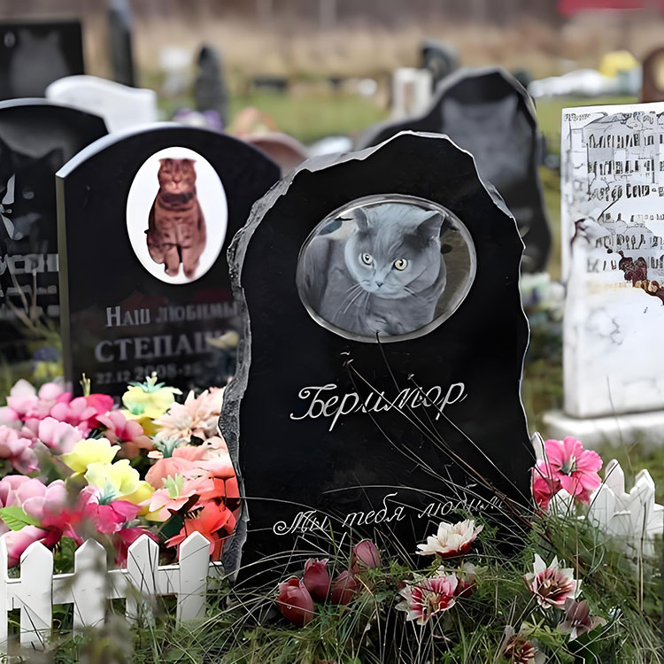 کس حسب ضرورت کے اختیارات بنیادی ناموں سے بالاتر پالتو جانوروں کی یادگار تختیوں کو بلند کرتے ہیں؟